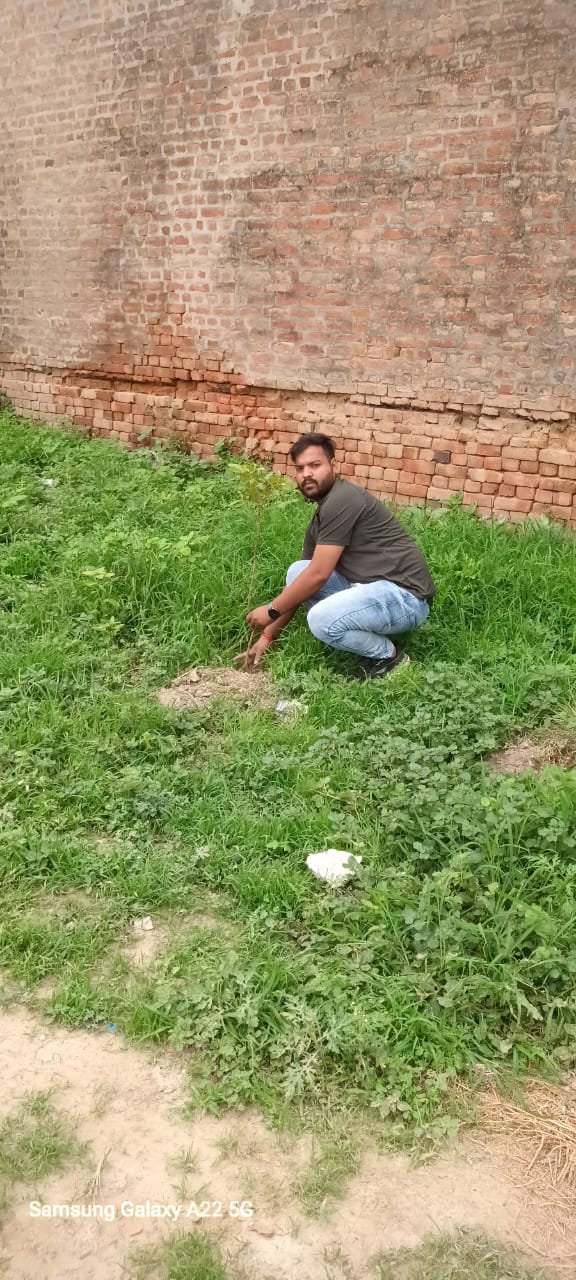 ग्रामीण विकास और वृक्षारोपण